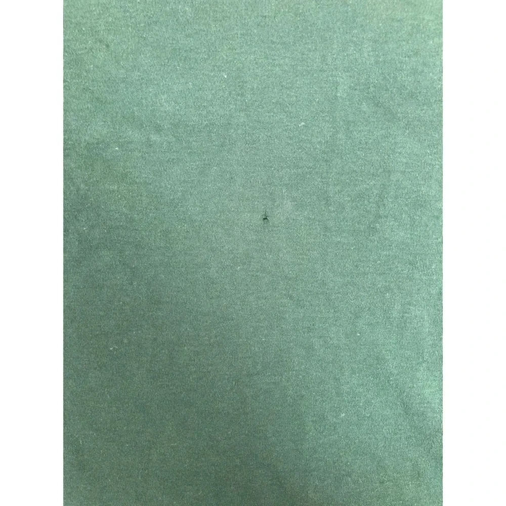 Polo Ralph Lauren Men's Classic Fit Solid Green Polo Short Sleeve Logo Size L